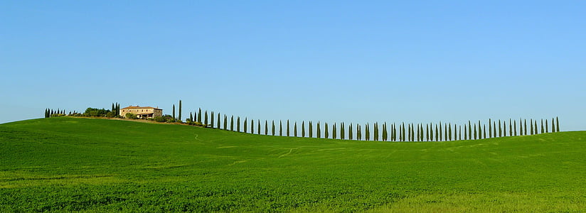 Toscana, cypresser, Bondgård, natursköna, Panorama, grön, Hill