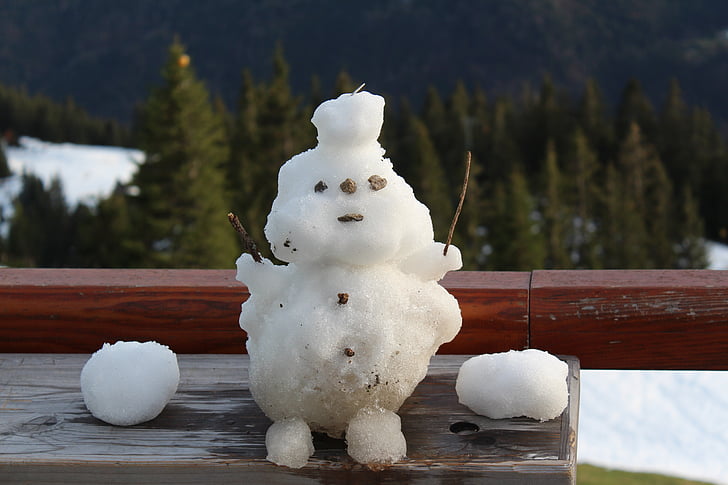 neu, l'home de neu, l'hivern, hivernal, branques, icona d'hivern, fred