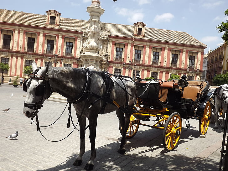 Sevillan, hevonen, Plaza, kävelykierros, keskusta, Kauppatori