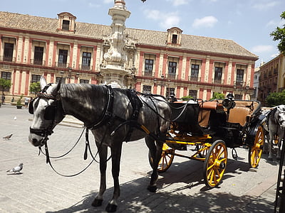 Sevilla, ló, Plaza, városi kirándulás, városközpont, piac tér