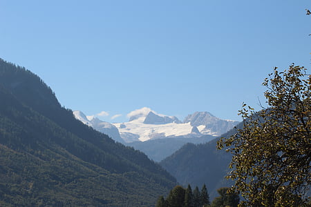 Dachstein, Ľadovec, Mountain, Príroda, scenics, strom, vonku
