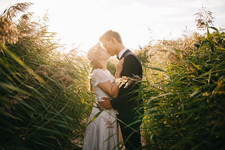 bride, couple, grass, groom, kissing, love, marriage