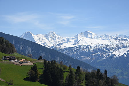 艾格尔峰, 和尚, 处女, 瑞士, 高山, 山脉, 高山全景
