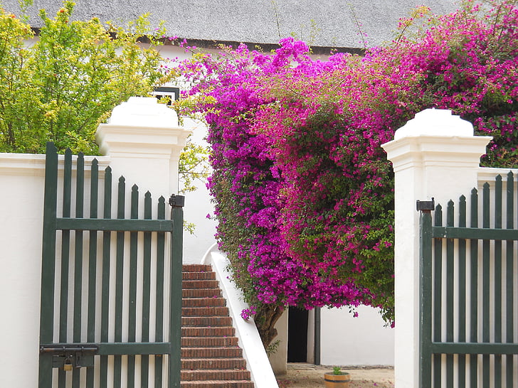 Sydafrika, Winery, Boschendal, hjem, Winelands, bygning, turisme