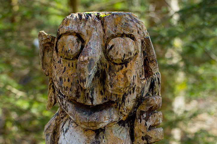 Kobold, Figur, ansikte, Titta, holzfigur, carving, skogen