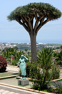 las palmas, mediterranean, spain, statue, tree