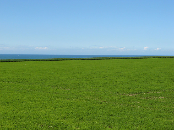 paesaggio, mare, Normandia, senza spina dorsale-les-roses, natura, blu, erba