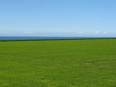 paisaje, mar, Normandía, sin espinas-les-roses, naturaleza, azul, hierba