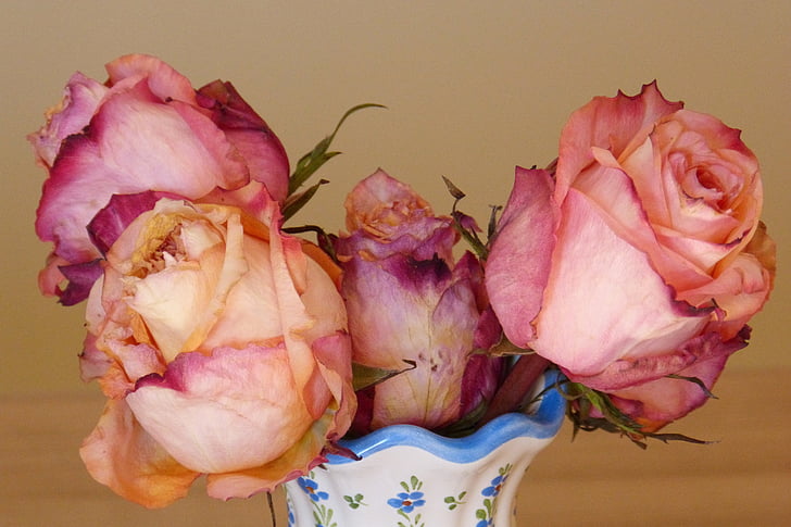 Rosen, Vase, Blumen-vase, geblüht, verdorrt