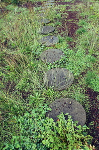 voie de jardin extérieur, pierres de gué, béton, ciment, tour, cercles, nature