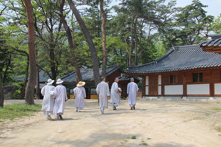 Монк, jikjisa, монаси, борови, храма, будизъм, Република Корея