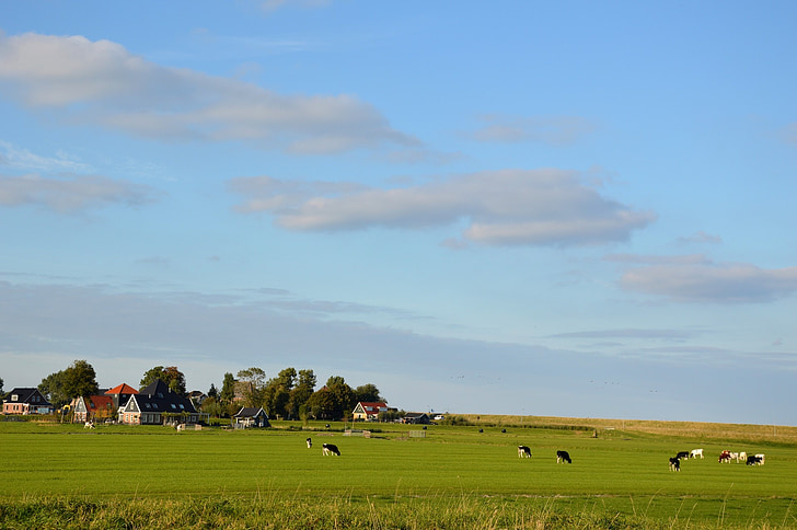 Panorama, Hollanti, maisema, erämaa, maisemat, luonnollinen, Wild
