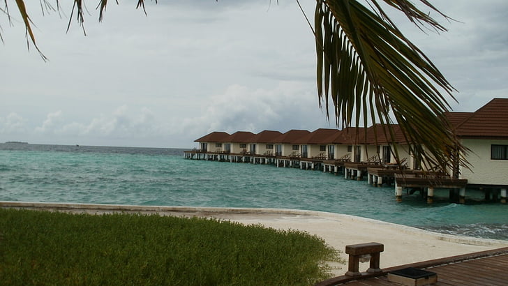 Maldivas, Atolón male del norte, mar, Palmas, arena, Blanco, azul