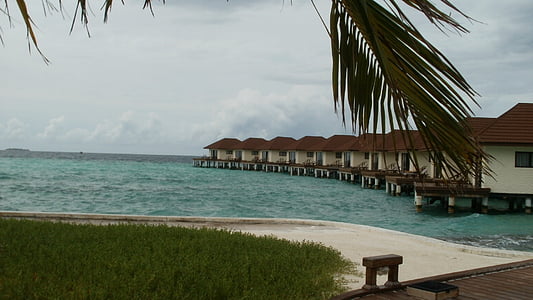 Maldív-szigetek, északi-male-atoll, tenger, pálmák, homok, fehér, kék