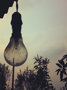 silhouette, pendant, bulb, light bulb, sky, trees, leaves