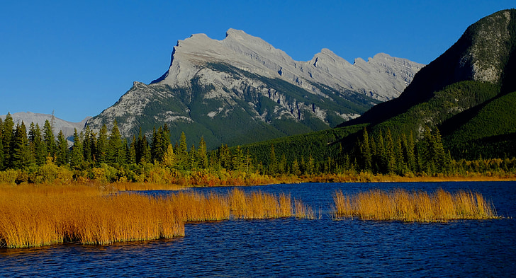 Danau merah terang, Taman Nasional Banff, Danau, Gunung, Alberta, pemandangan, Taman