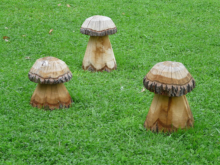 mushrooms, wood, meadow, grass, carving