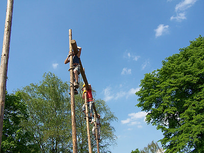 men, climbing trees, work, exhausting, wood