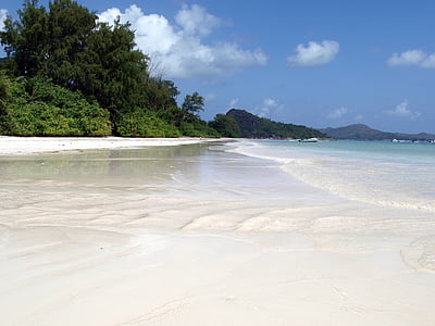 white sand, seychelles, praslin, beach