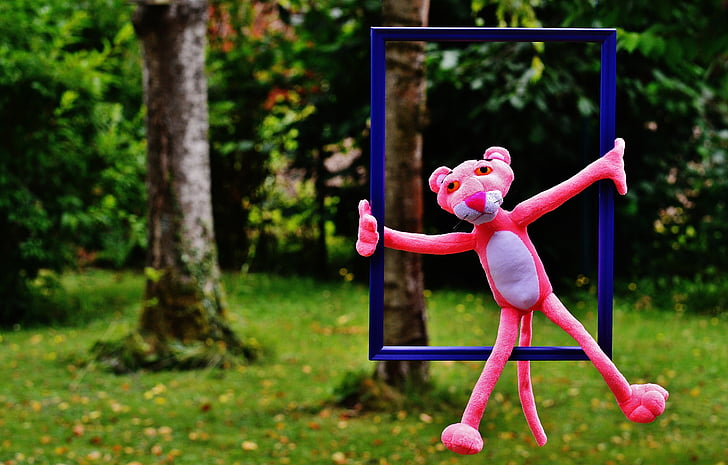out of the ordinary, the pink panther, funny, anders, unusual, untypical, picture frame