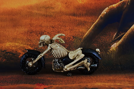 sombrio, humor, esqueleto, bicicleta, moto