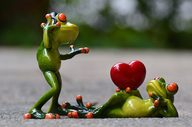 frogs, love, headphones, music, valentine's dance, pose, photographer