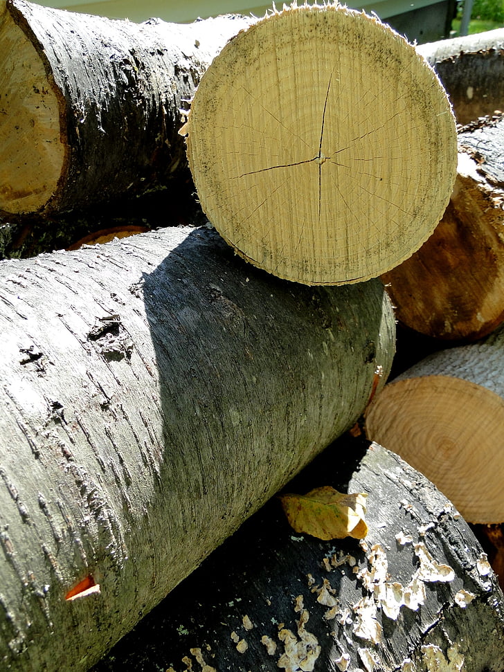 kayu, log, kayu bakar, memotong, kering, tumpukan, ditumpuk