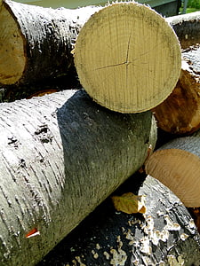 madeira, logs, lenha, corte, secos, pilha, empilhadas