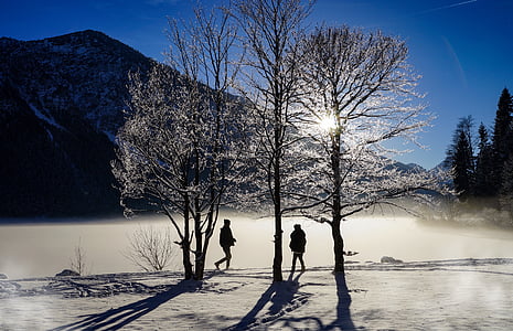 冬天, 湖, 冰, 寒冷, 雪, 景观, 雾