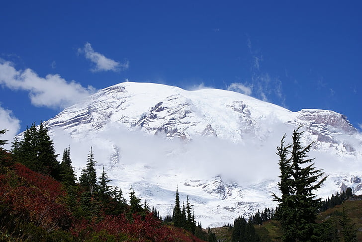 Mount, Rainier, kalns, sniega, skaists, ainava, fons