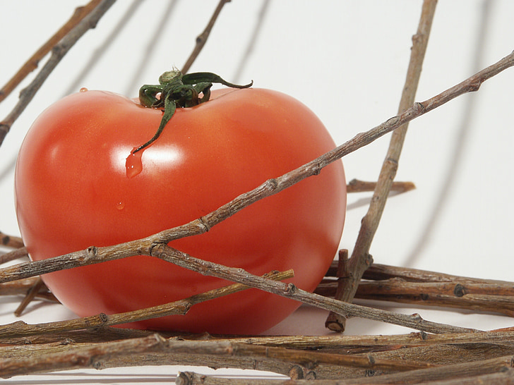 tomate, vermelho, close-up de tomates