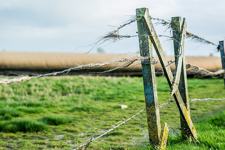 fence, east frisia, dike, tourism, north sea, barbed Wire, nature