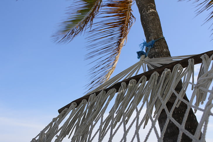 beach, hammock, break