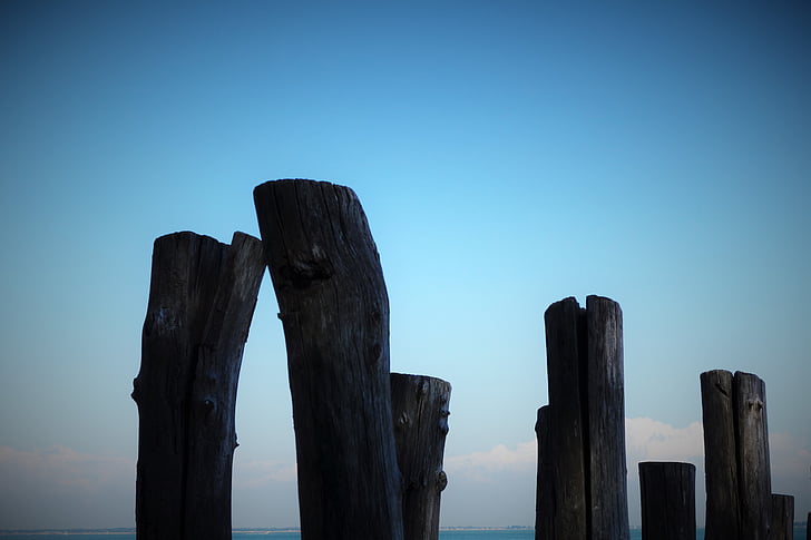 Océano, cielo, mar, madera, Driftwood, puesta de sol, azul