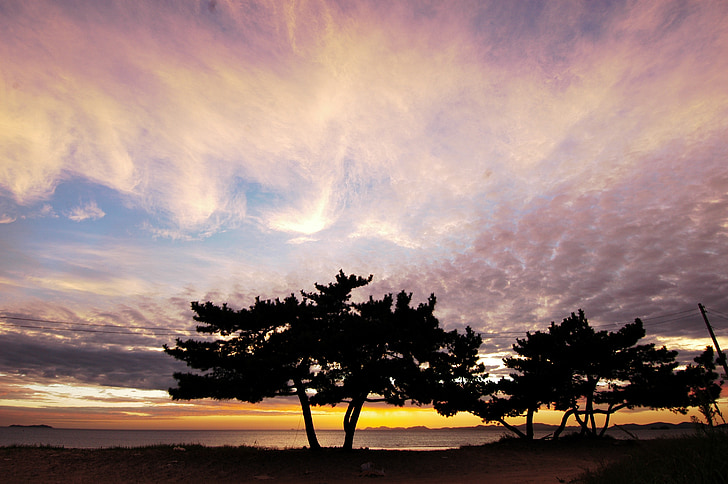 glow, republic of korea, west coast, camel joe, sunset, sky, cloud