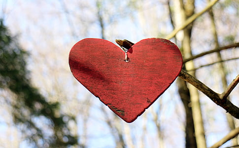 หัวใจ, หัวใจไม้, ความรัก, สัญลักษณ์, ไม้, รูปหัวใจ, โรแมนติก