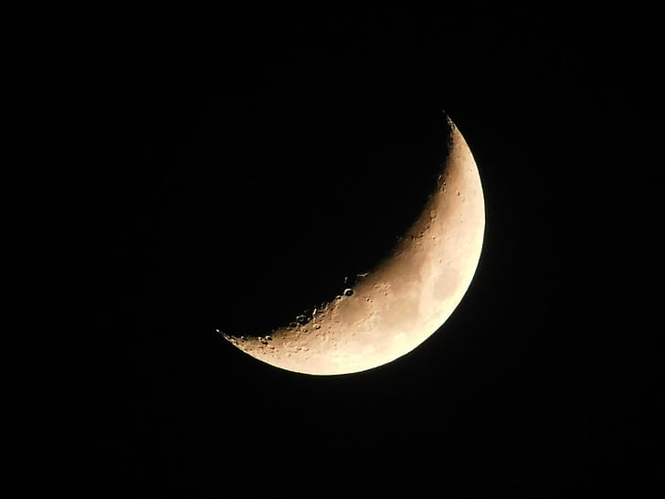 moon, crescent moon, crescent, astronomy, lunar, phase, craters