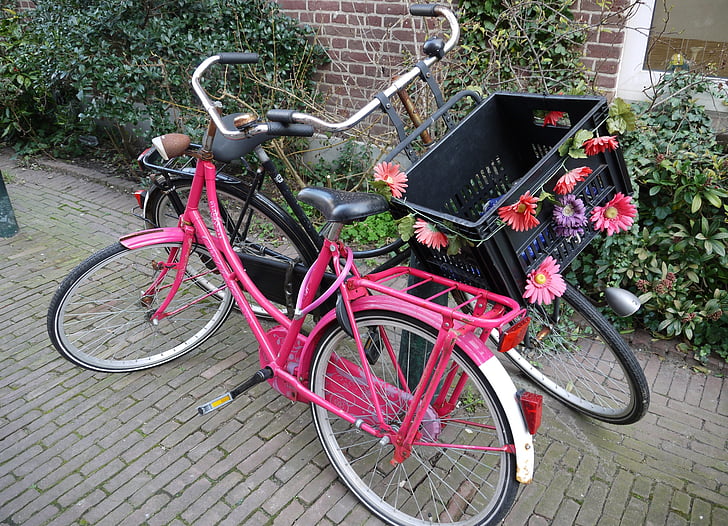 vélo, Néerlandais, Pays-Bas, roue, roues, vélo féminin