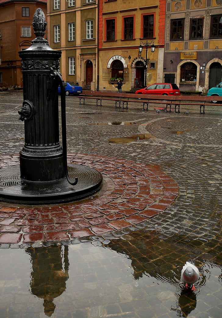 Warszawa, gamle bydel, Square, pumpen, pool, Dove