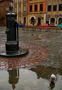 Varšava, staro mestno jedro, Square, črpalka, bazen, golob