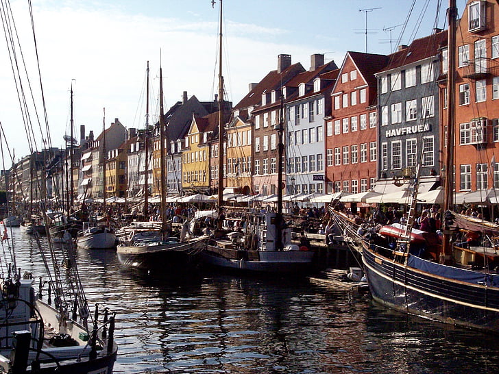 Copenhague, Porto, bateaux, bateau, Danemark, ville, bateaux de pêche