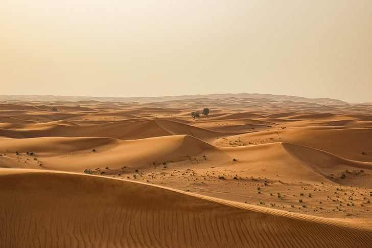 Foto, desierto, durante el día, Duna, caliente, clima árido, arena