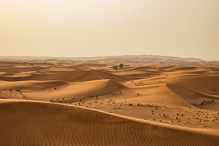 Foto, desierto, durante el día, Duna, caliente, clima árido, arena
