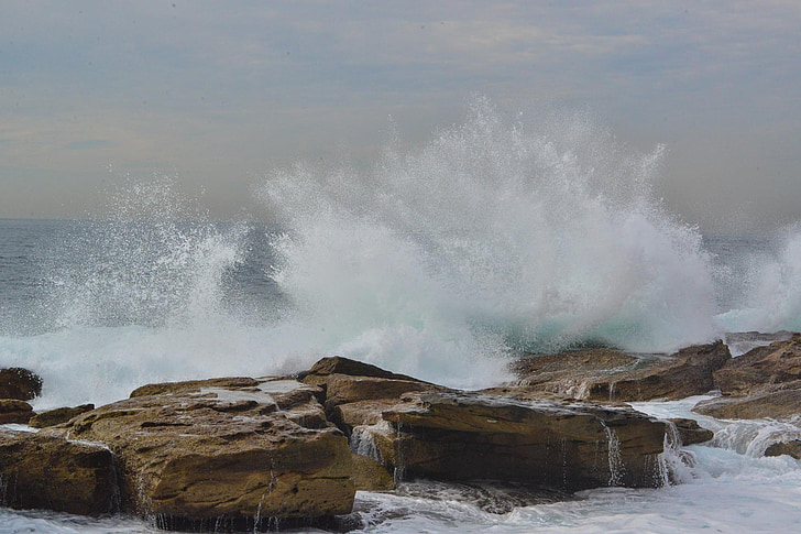ondas, Splash, Coogee, Sydney, Australia, salpicaduras, Océano