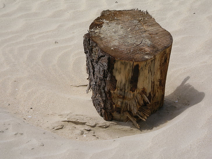 restos flotantes, Jetsam, Playa, arena, madera de deriva, textura, viento