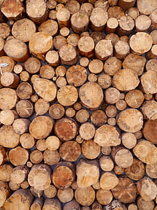 wood, logs, stack, timber, large group of objects, lumber industry, backgrounds