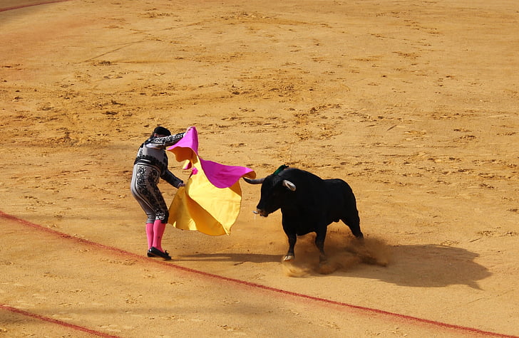 Sevilla, bika harci, bika