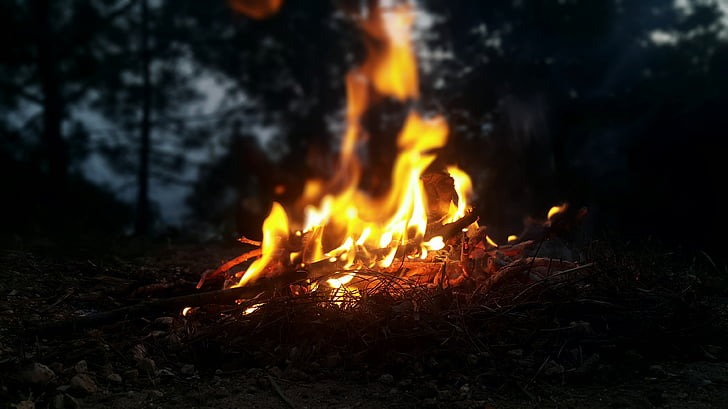 fire, outdoors, nature, flame, forest, hot, campfire