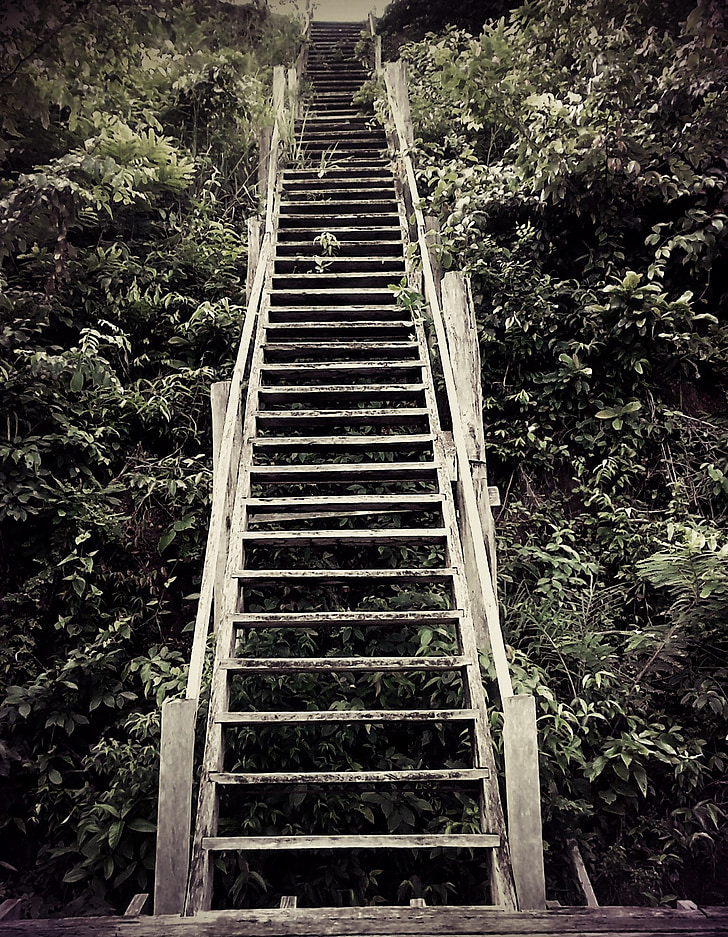 kāpnes, no koka, daba, ainava