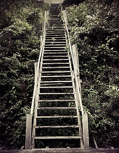 merdiven, ahşap, doğa, manzara